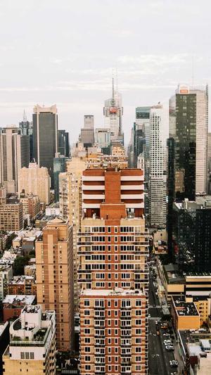 海南网站建设截图1