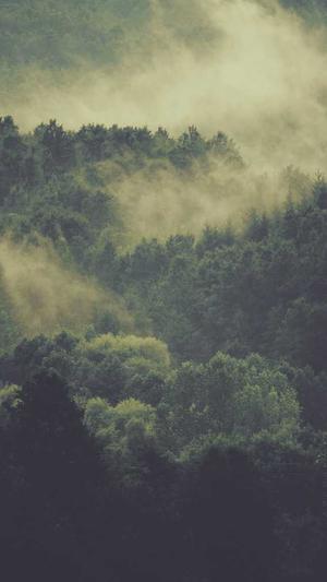 超级蜘蛛池用着怎么样截图1