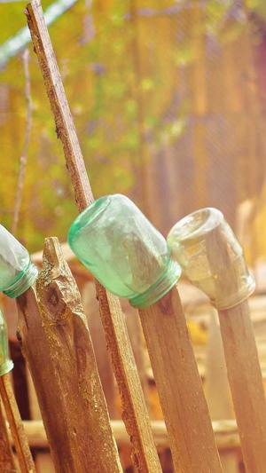 辽宁蜘蛛池出租平台截图2