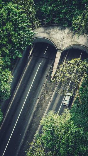 河南蜘蛛池租用截图3