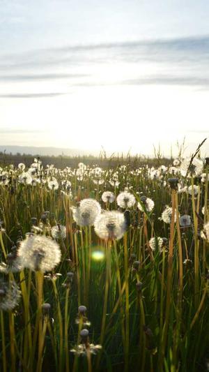 哈尔滨seo优化截图2