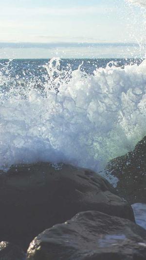 蜘蛛池的虫子叫什么截图5