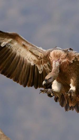 建设网站的方案截图2