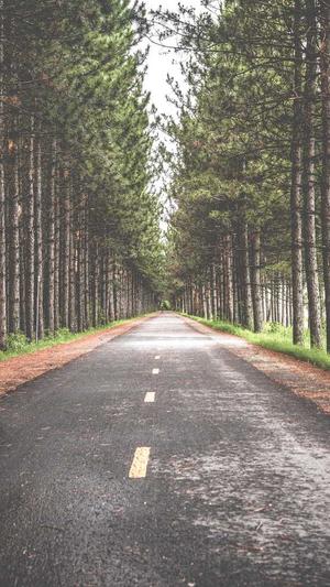 上海seo工具优化截图3