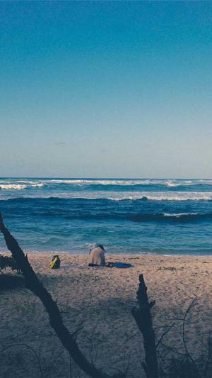 泛目录解析站群截图3