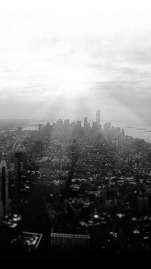 seo统计工具视频截图5