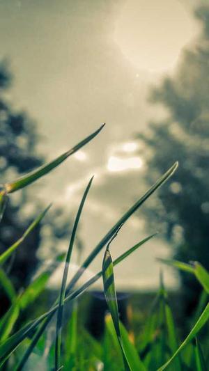 蜘蛛池程序开发晕啊截图4