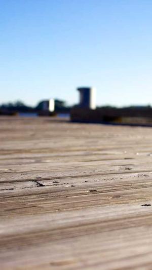 蜘蛛池种类截图4