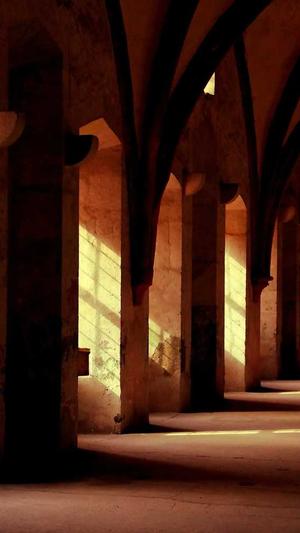 蜘蛛池出租有啥用截图4