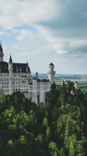 蜘蛛池新闻截图4