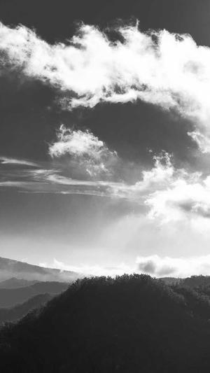 seo在线刷外链工具截图5