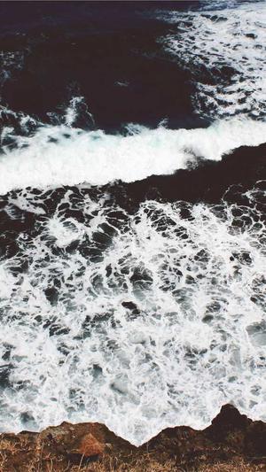 商丘网站建设截图4