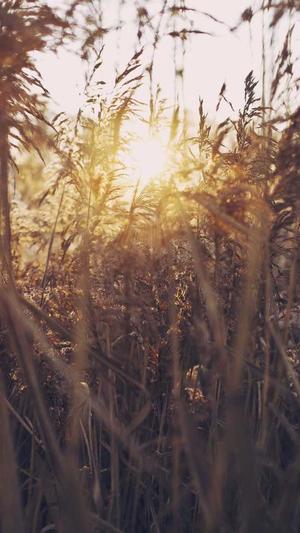 网站建设情况截图2