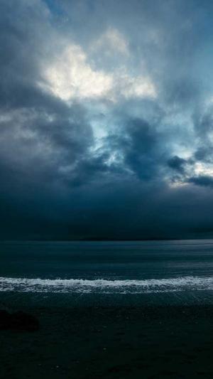 建蜘蛛池需要什么材料截图2