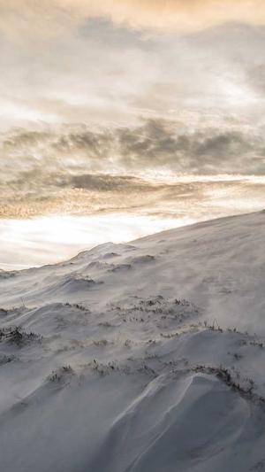 免费seo优化截图4