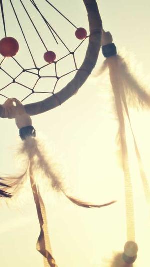 seo优化网络推广截图1