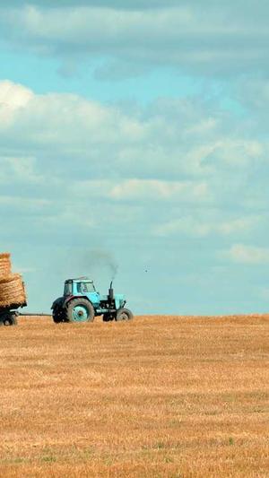 公众号能用seo外链工具截图1