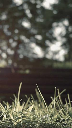 蜘蛛池免费app运营推广截图1