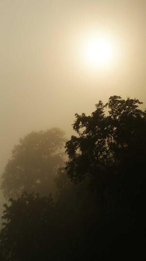 最新小旋风蜘蛛池站群截图3