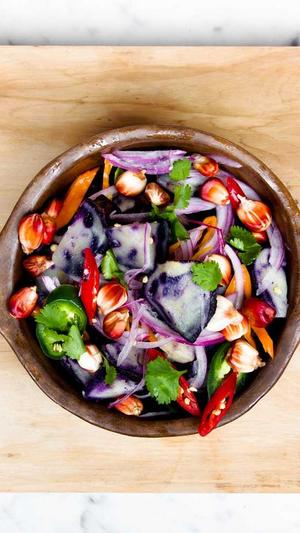 免费蜘蛛池seo 推广截图2