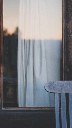 蜘蛛池模板截图4