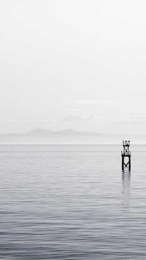 超级蜘蛛池seo截图1