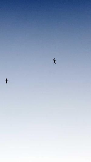 诸城网站建设截图1