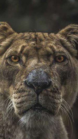 泛目录排名截图3