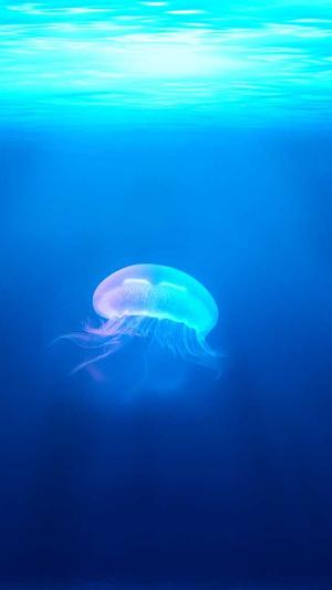 陕西 网站建设截图4