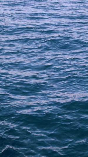 百度蜘蛛池ip截图2