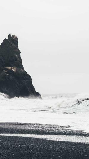 高收录域名做泛目录截图1