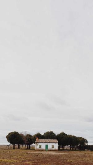 闵行网站建设截图3