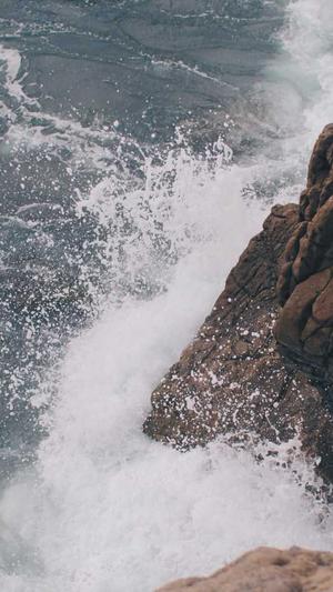 东莞市建设网站截图2