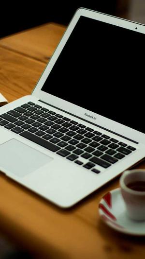 泛目录站群系统截图3