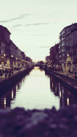 爱站seo工具包截图2