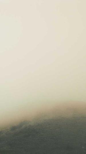 上海网站建设公司排行截图2