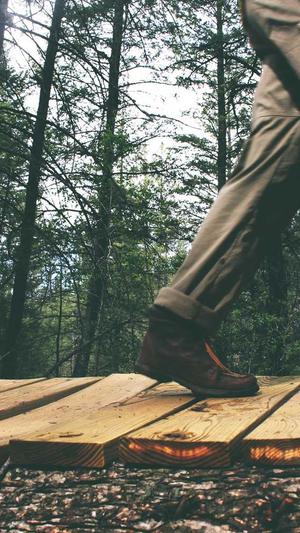 网站建设企业建站截图2