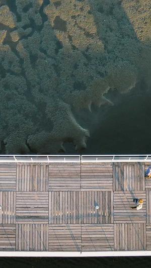 企业网站建设排名截图2