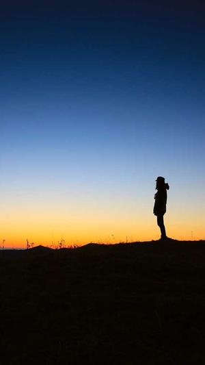 大连seo优化截图5