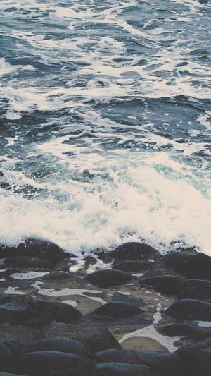 网站建设公司排名截图2