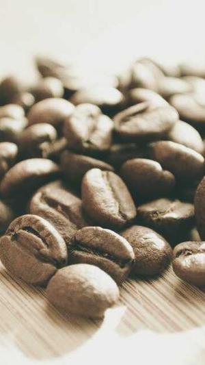 seo关键词排名工具截图1