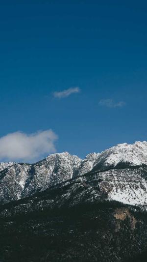 无锡seo排名工具截图4