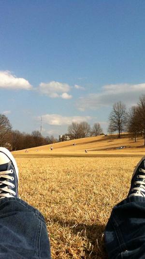 小旋风蜘蛛池好不好打截图1