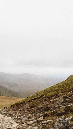 seo工具研发站截图2