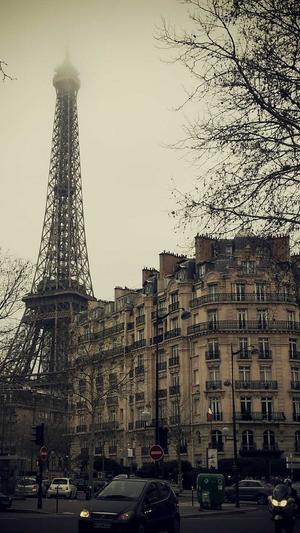 超级蜘蛛池租用多少钱截图2