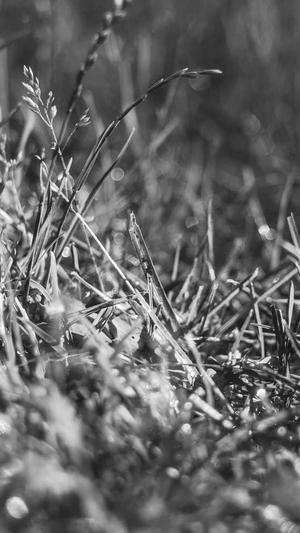 网站建设哪家网站建设好截图2