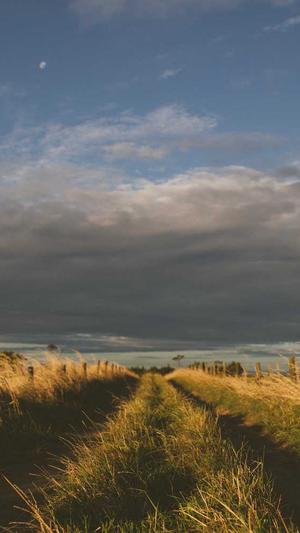 建设公司的网站建设截图1