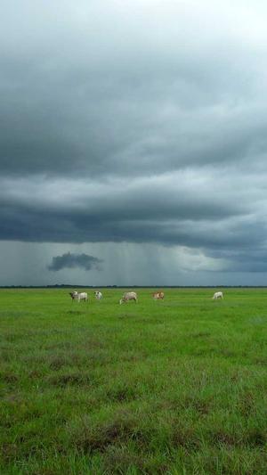 济南网站建设截图5