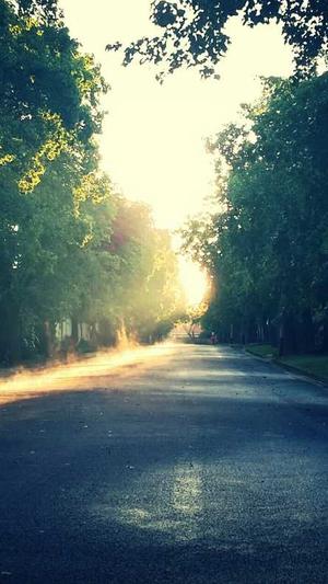 小旋风蜘蛛池好不好打截图4