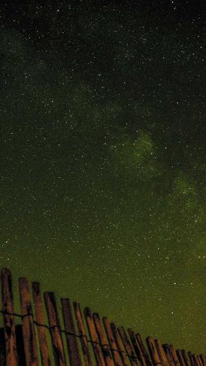 站长工具seo查询截图2